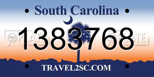 1383768 South Carolina License Plate