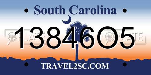 13846O5 South Carolina License Plate