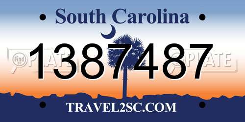 1387487 South Carolina License Plate