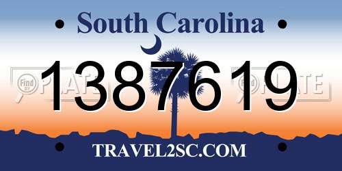 1387619 South Carolina License Plate