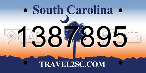 1387895 South Carolina License Plate