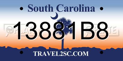 13881B8 South Carolina License Plate