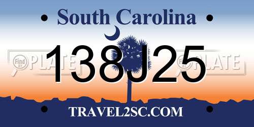 138J25 South Carolina License Plate