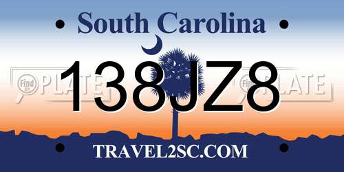 138JZ8 South Carolina License Plate