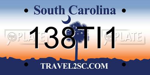 138TI1 South Carolina License Plate