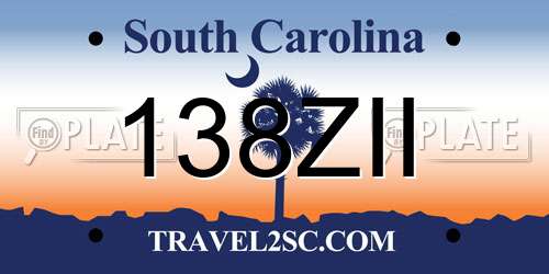 138ZII South Carolina License Plate