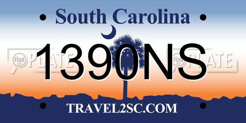 1390NS South Carolina License Plate