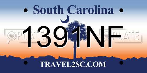1391NF South Carolina License Plate