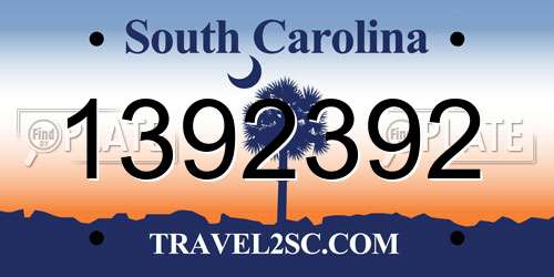 1392392 South Carolina License Plate