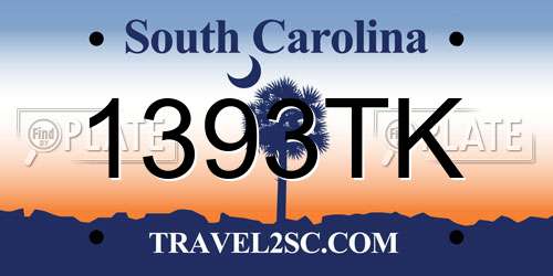 1393TK South Carolina License Plate