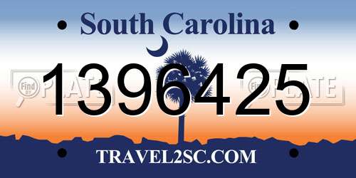 1396425 South Carolina License Plate