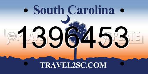 1396453 South Carolina License Plate