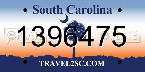 1396475 South Carolina License Plate