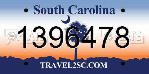 1396478 South Carolina License Plate