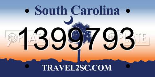 1399793 South Carolina License Plate