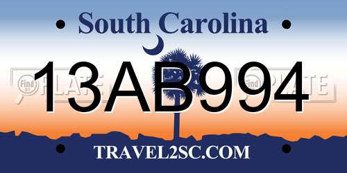 13AB994 South Carolina License Plate