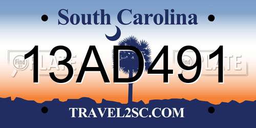 13AD491 South Carolina License Plate