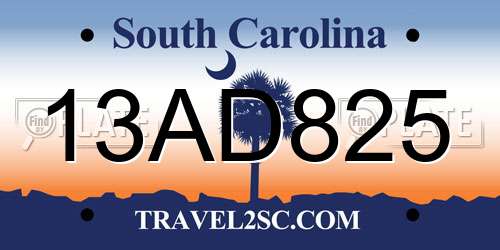 13AD825 South Carolina License Plate