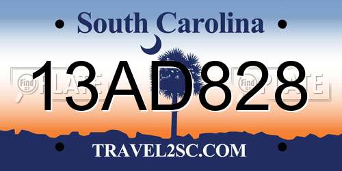 13AD828 South Carolina License Plate
