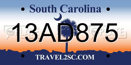 13AD875 South Carolina License Plate