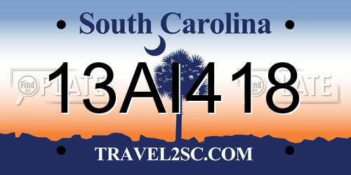 13AI418 South Carolina License Plate