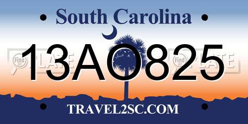 13AO825 South Carolina License Plate