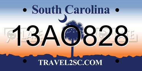 13AO828 South Carolina License Plate