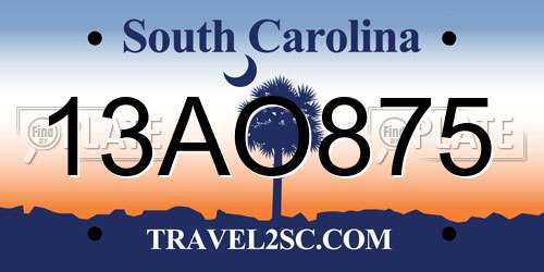 13AO875 South Carolina License Plate