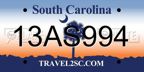 13AS994 South Carolina License Plate