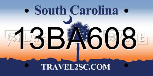 13BA608 South Carolina License Plate