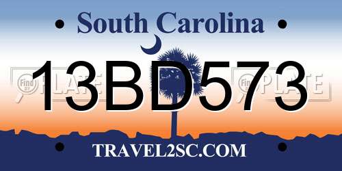 13BD573 South Carolina License Plate