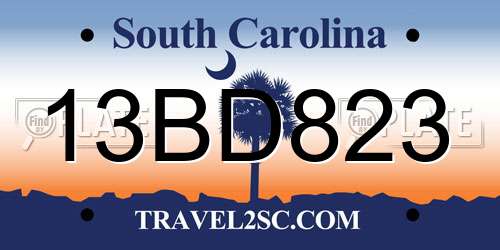 13BD823 South Carolina License Plate
