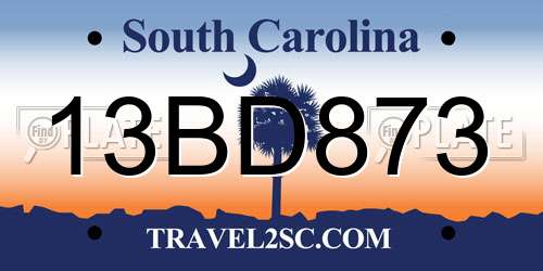 13BD873 South Carolina License Plate