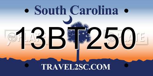 13BT250 South Carolina License Plate