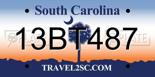 13BT487 South Carolina License Plate