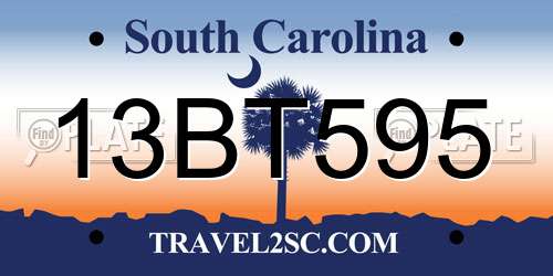 13BT595 South Carolina License Plate
