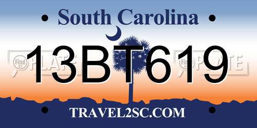 13BT619 South Carolina License Plate