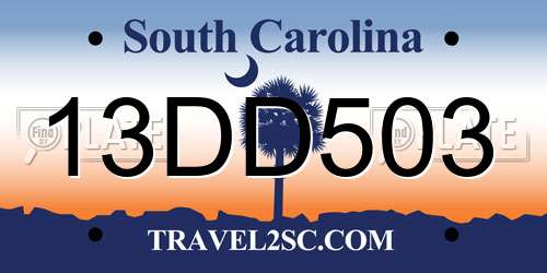 13DD503 South Carolina License Plate