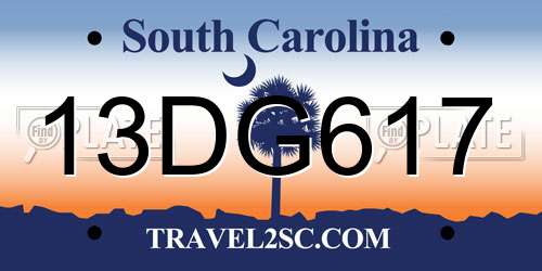 13DG617 South Carolina License Plate
