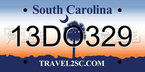 13DO329 South Carolina License Plate