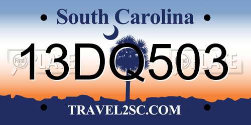 13DQ503 South Carolina License Plate