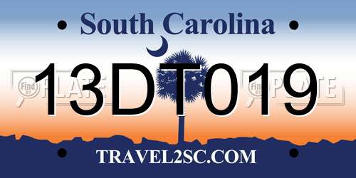 13DT019 South Carolina License Plate