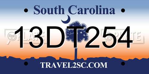 13DT254 South Carolina License Plate