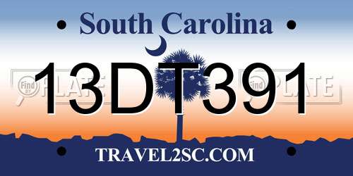 13DT391 South Carolina License Plate