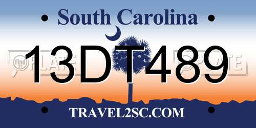 13DT489 South Carolina License Plate