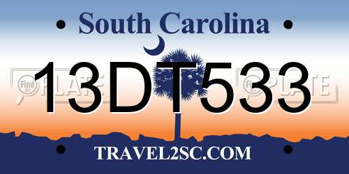 13DT533 South Carolina License Plate