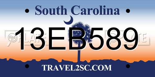 13EB589 South Carolina License Plate