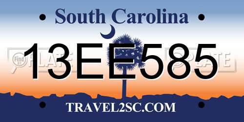 13EE585 South Carolina License Plate