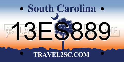 13ES889 South Carolina License Plate