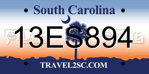 13ES894 South Carolina License Plate
